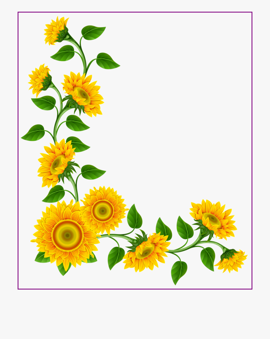 Stunning Sunflower Border Decoration Png Image This.