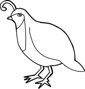 Quail Outline clip art.