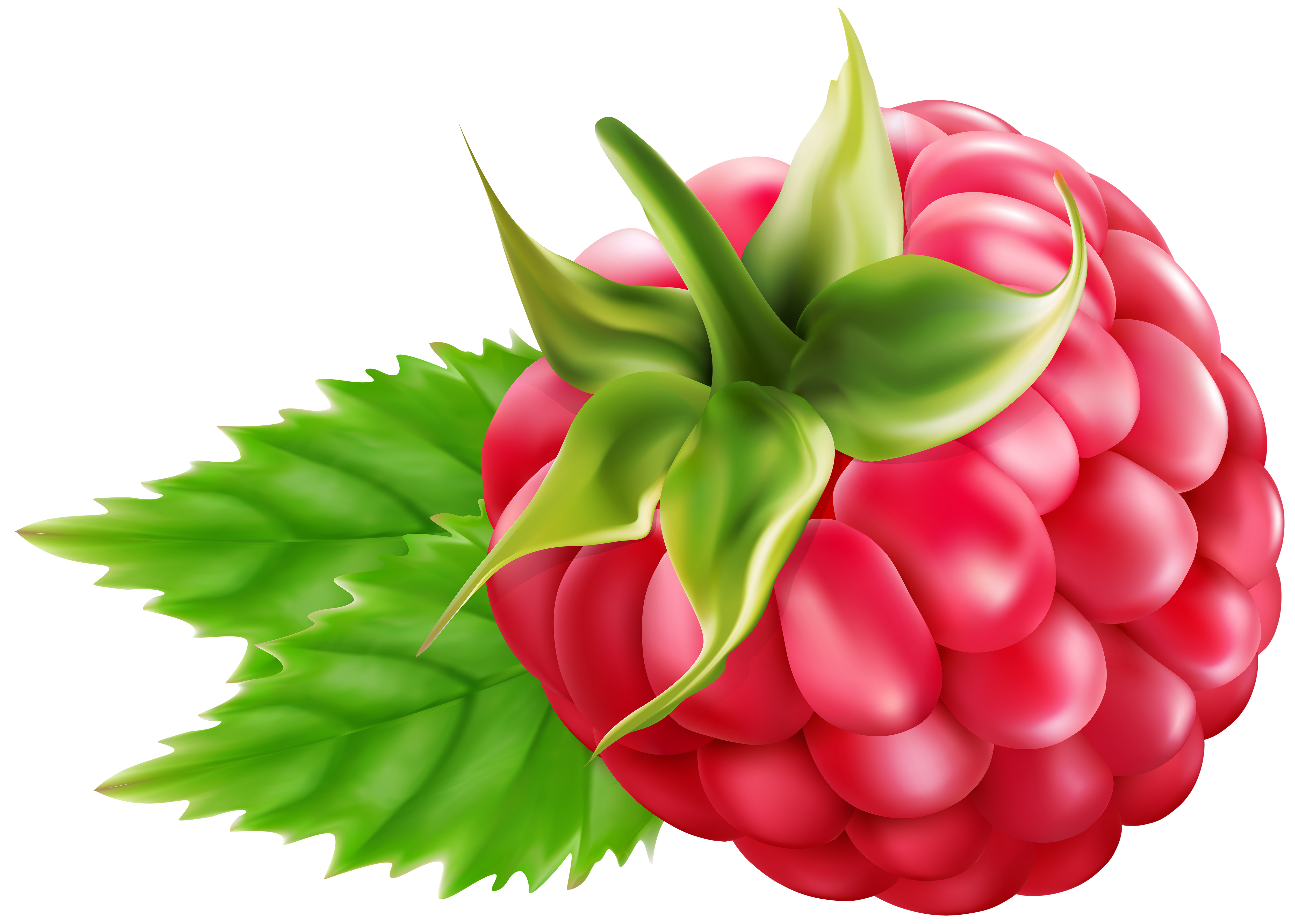 Raspberry Transparent PNG Clip Art.