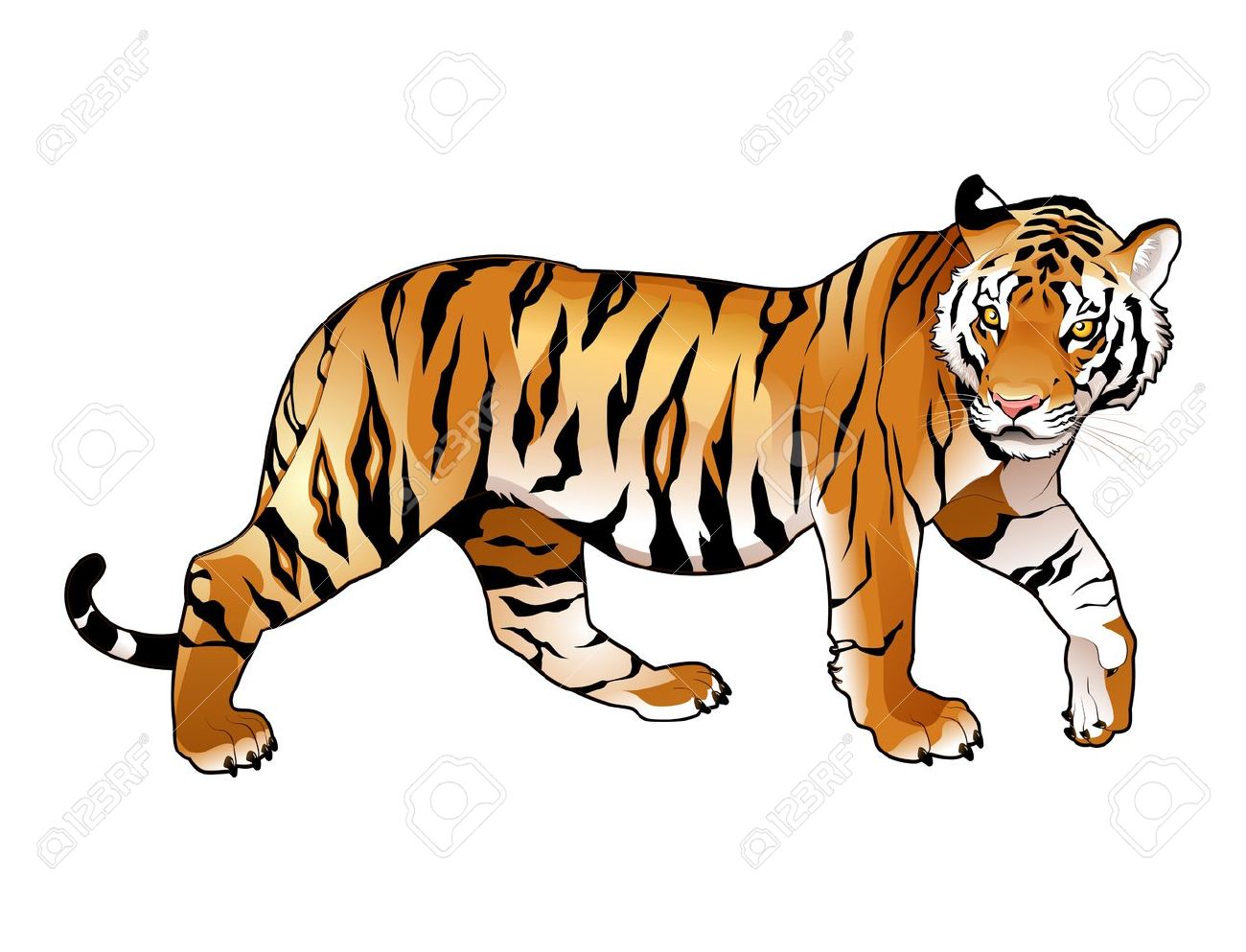 Free tiger clipart 4 » Clipart Station.