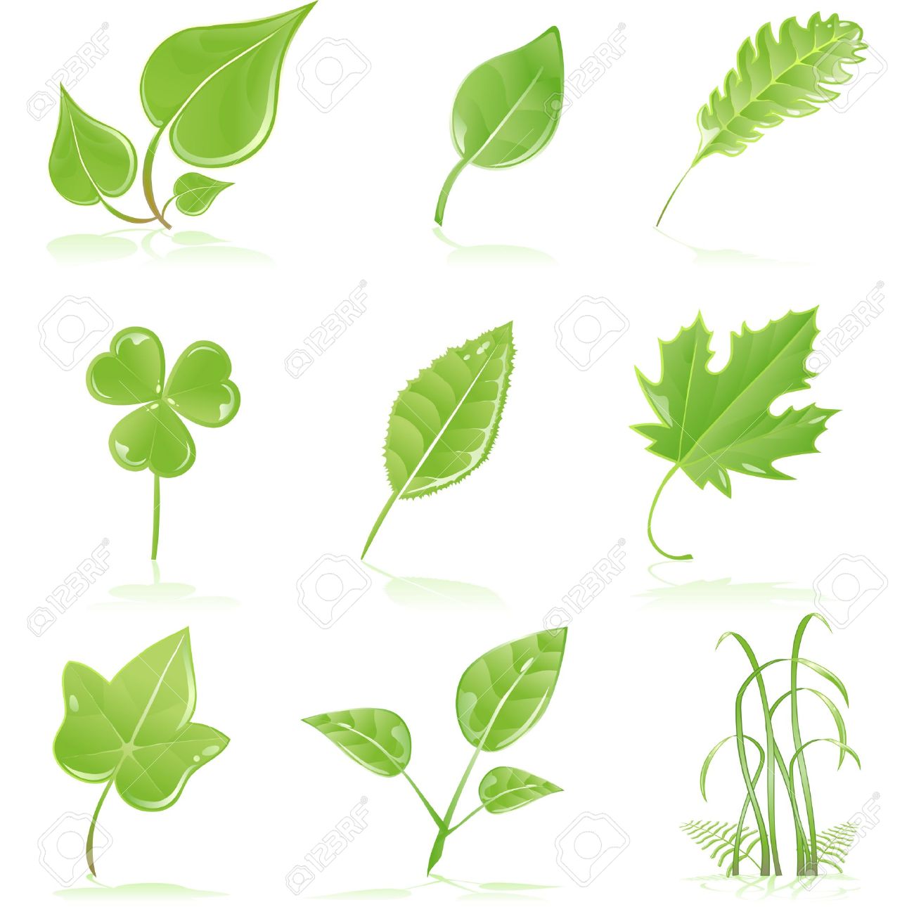 Fresh Green Leaves Clip Art.