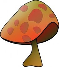 Funghi Commestibili Clip Art Scaricato 93 clip arts (Pagina 1.