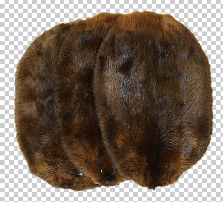 North American Beaver Muskrat Fur Trade Biberfell PNG, Clipart.