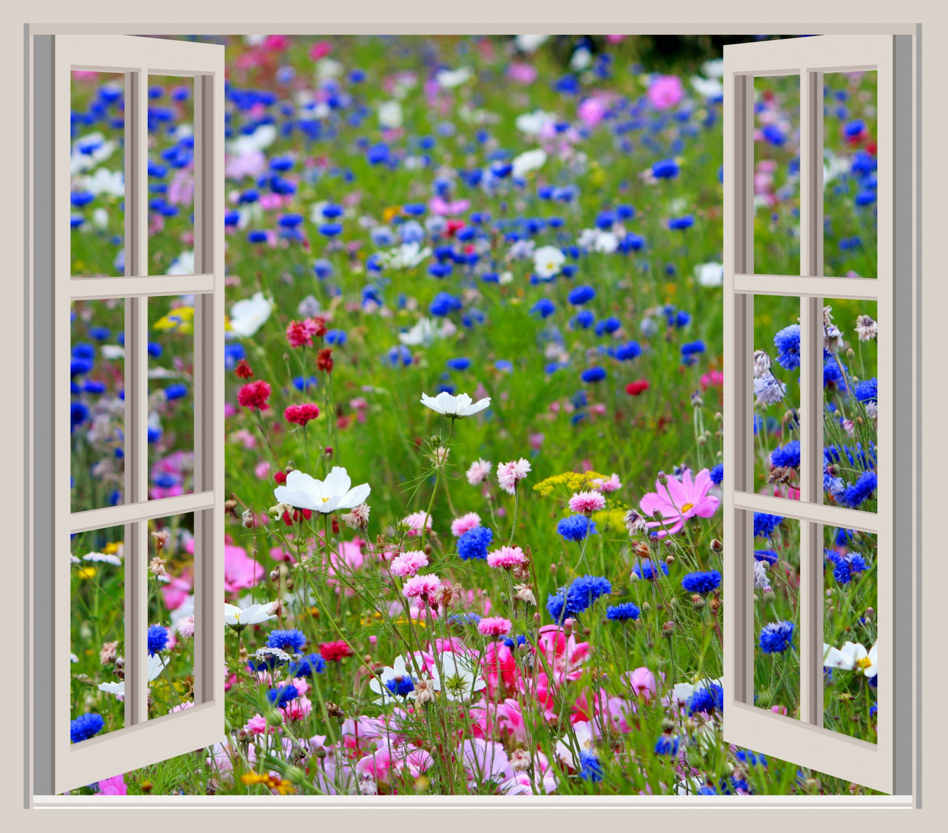 Window view clipart.