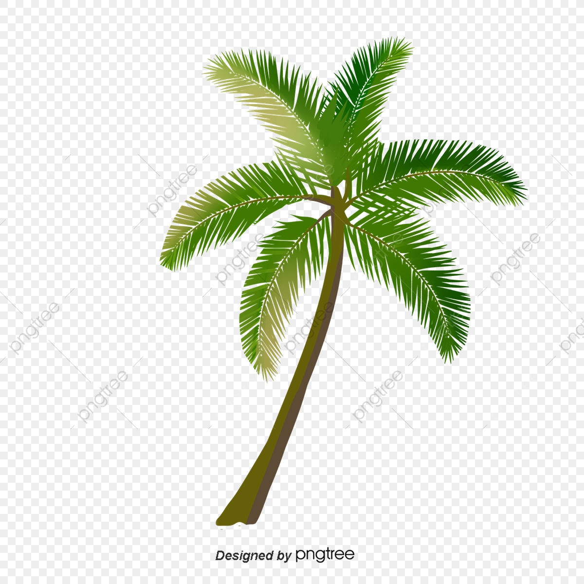 Cartoon Green Palm Tree, Clip Art, Hand Painted, Leaf PNG and Vector.