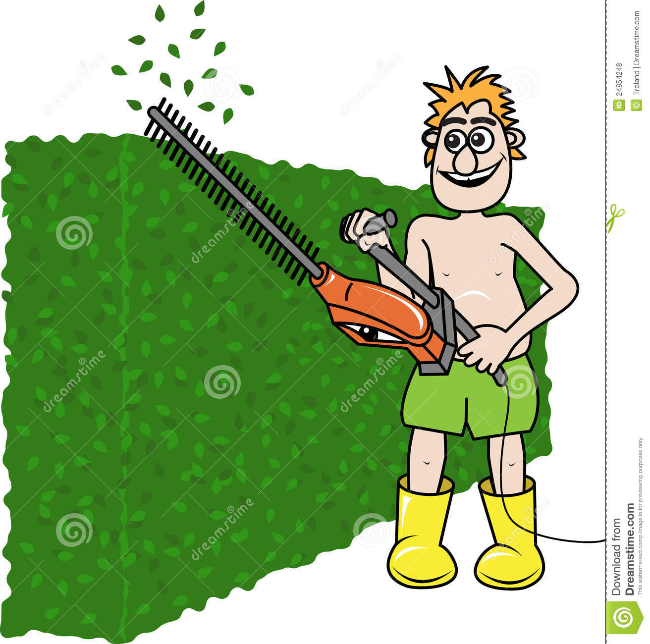 Hedge Clipart.