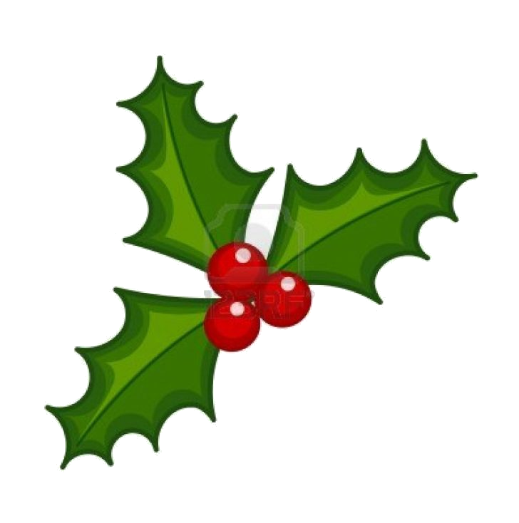 Holly Leaf X Christmas And Ivy Decorations Lights Card Decore Png.