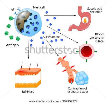 Immune Response Stock Images, Royalty.