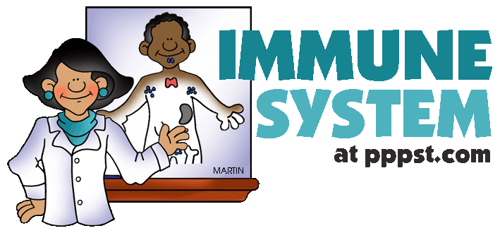 Immune System System In The Body Clipart.