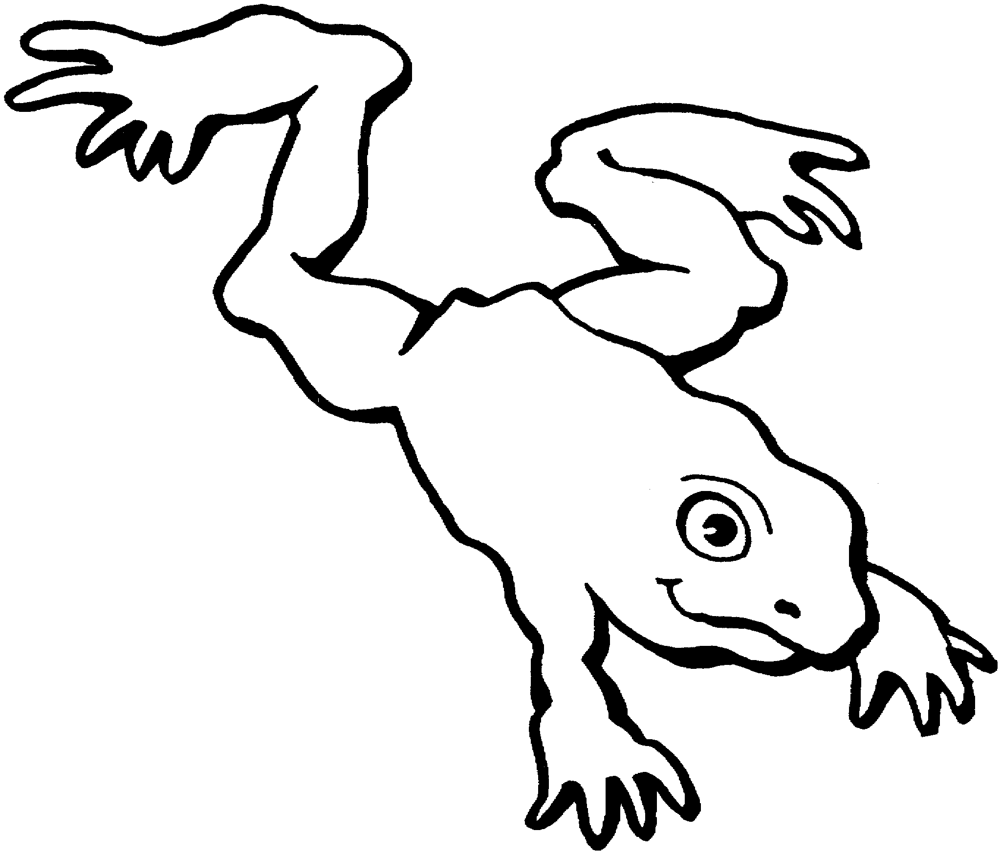 Jumping Frog Coloring Pages.