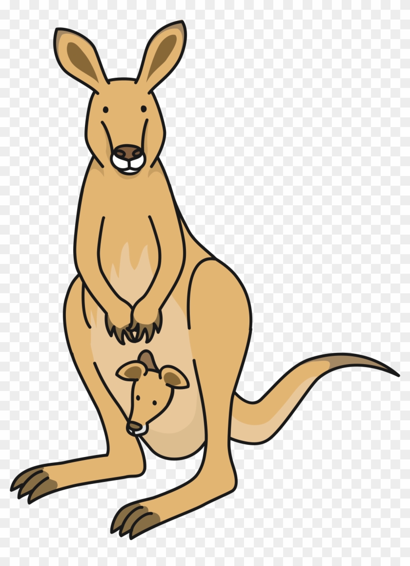 Drawing Kangaroos Diagram For Download On.