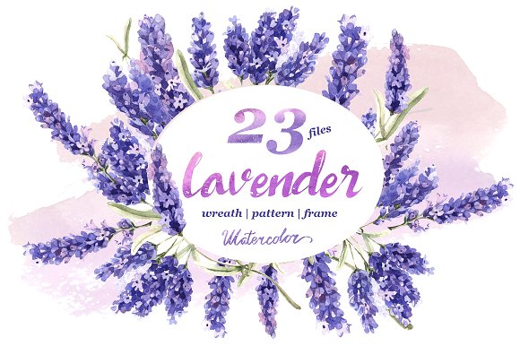 Lavender PNG flowers in watercolor.