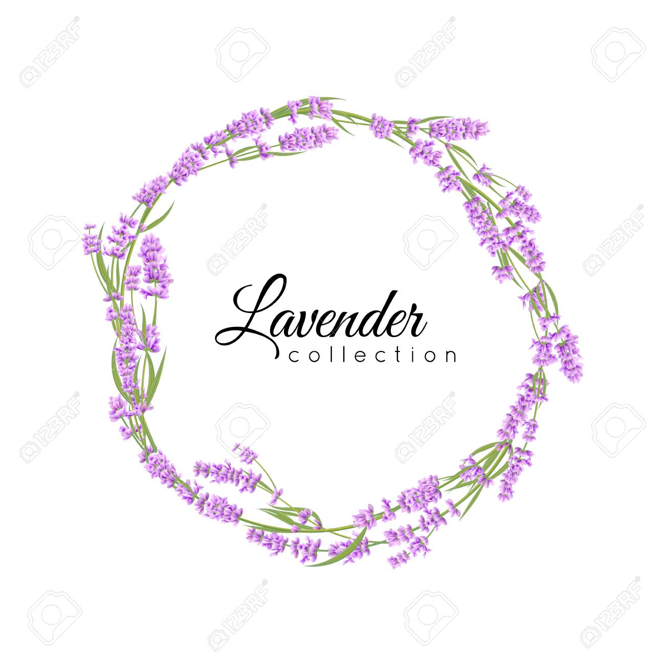 Lavender wreath isolated for wedding salon, greeting cards..