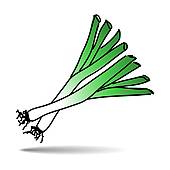 Leek Clip Art.