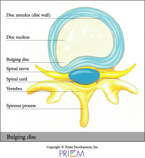 University Orthopedics.