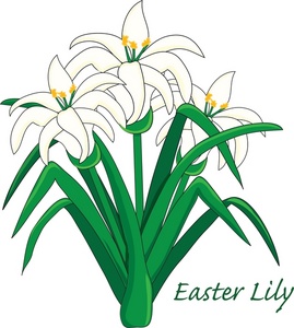 Lily Flower Clipart.