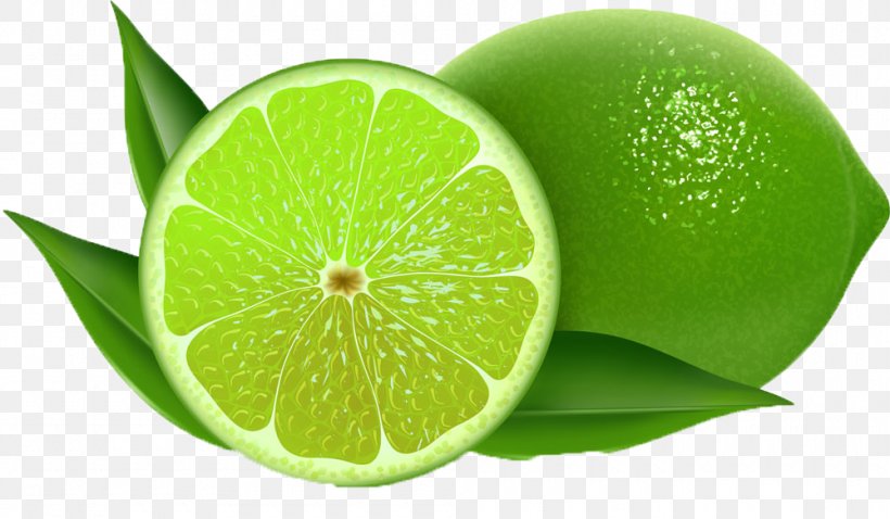 Lemon Persian Lime Key Lime Clip Art, PNG, 1000x583px, Lemon.