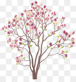 Magnolia Tree PNG.