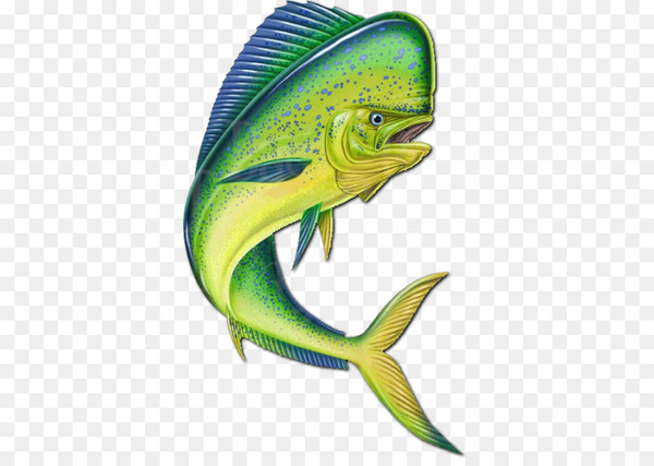 Mahi.