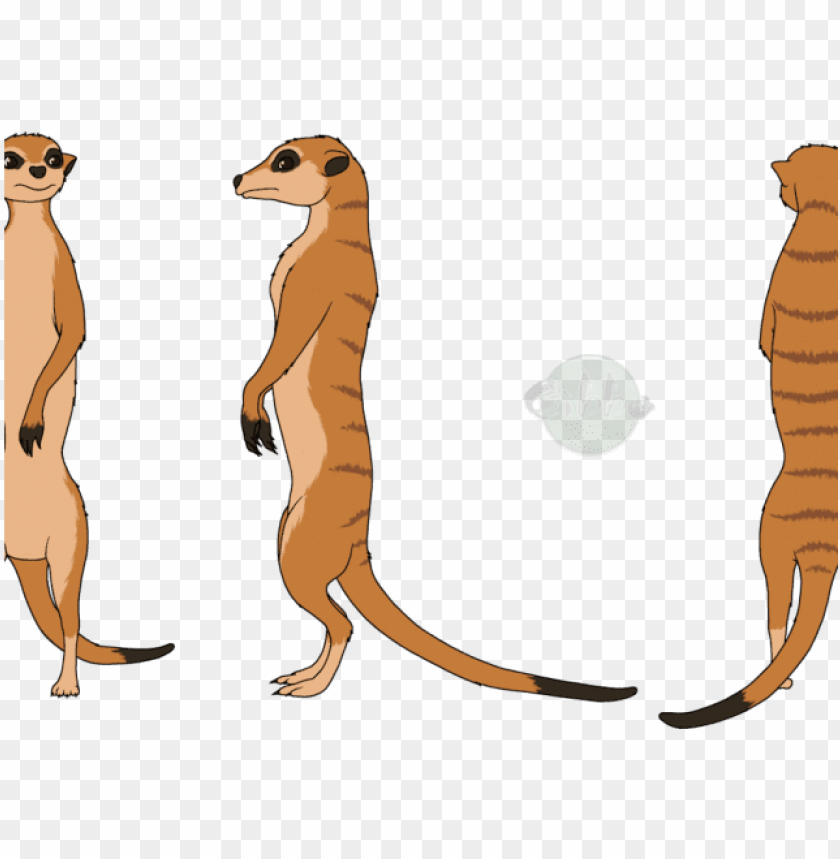 meerkat clipart draw.