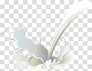 Milk Splash PNG clipart images free download.