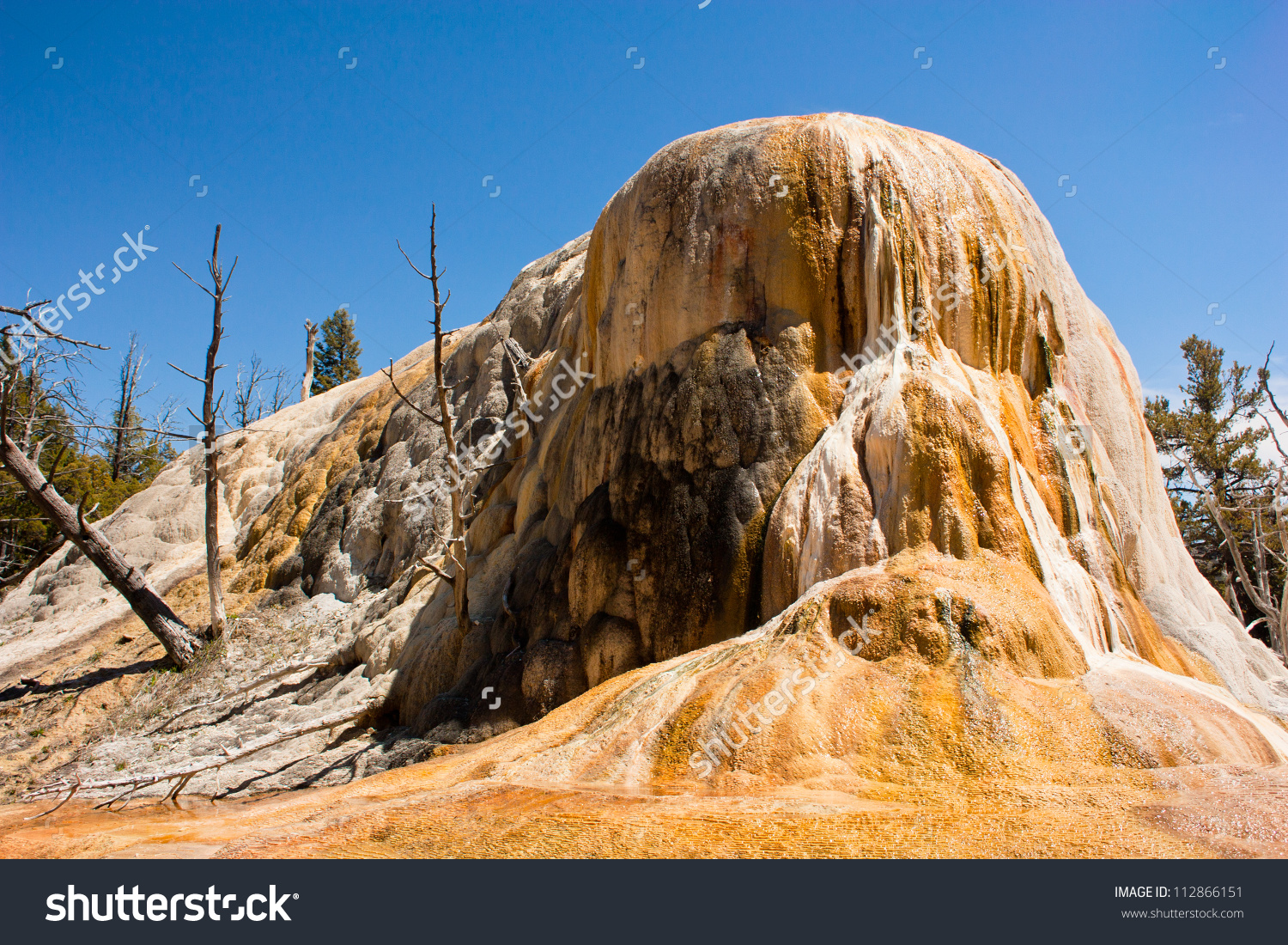 Travertine Colors At Orange Spring Mound, Mammoth Hot Springs.