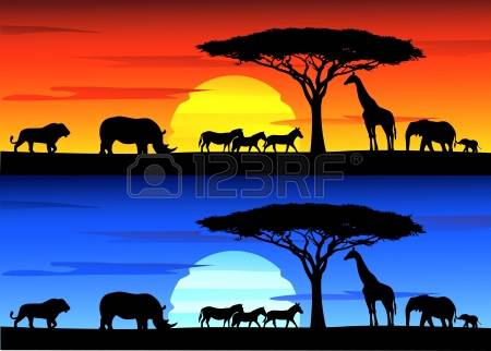 314 Serengeti Stock Illustrations, Cliparts And Royalty Free.