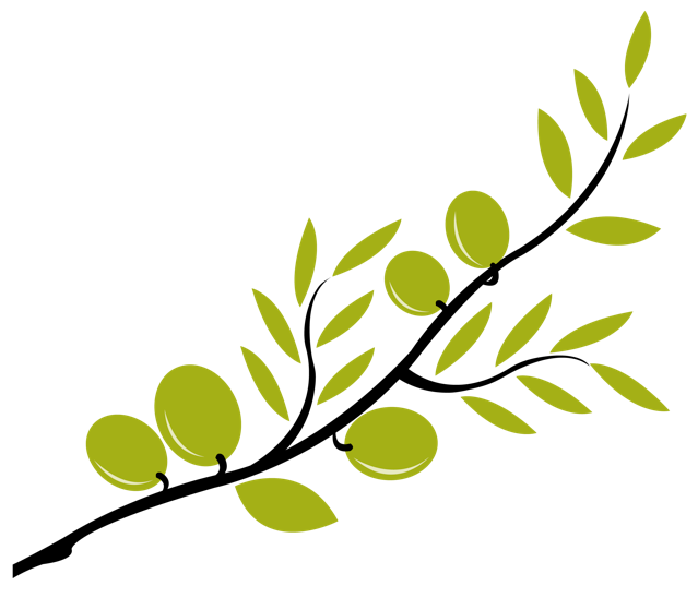 Free Olive Branch, Download Free Clip Art, Free Clip Art on.