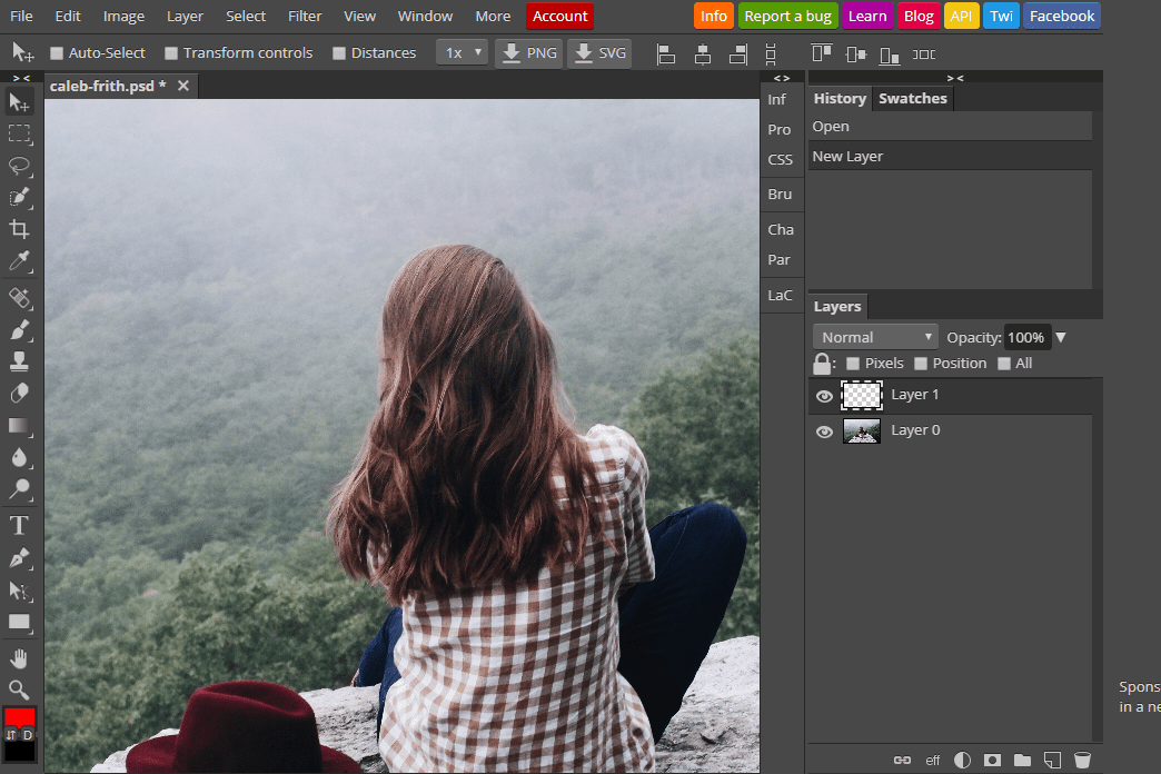 23 Free Online Photo Editors (Image Editing Websites).