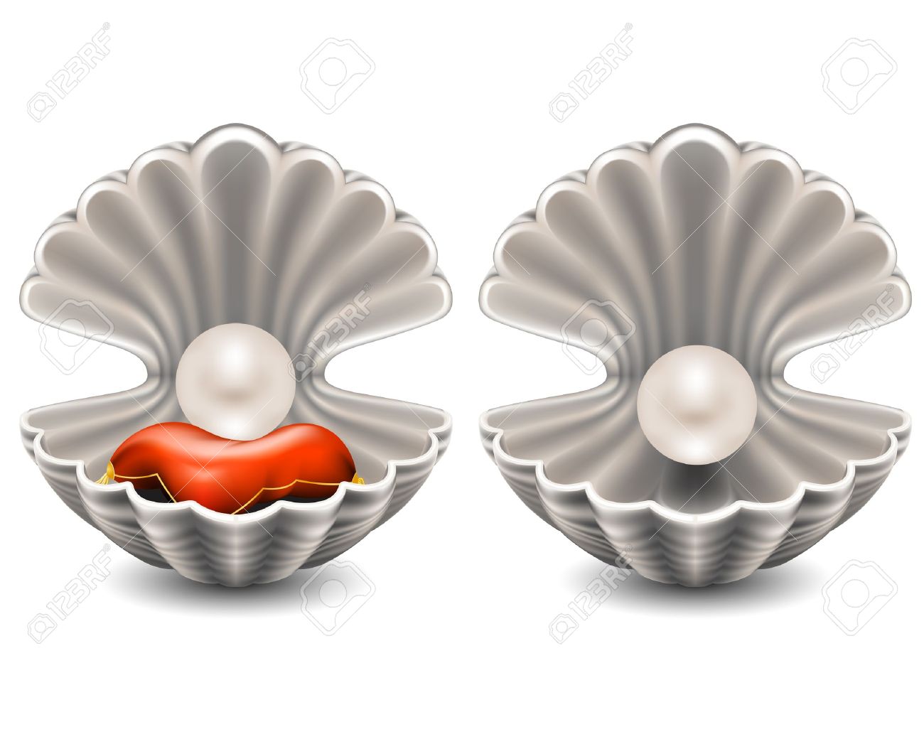 2,196 Oyster Shell Stock Vector Illustration And Royalty Free.