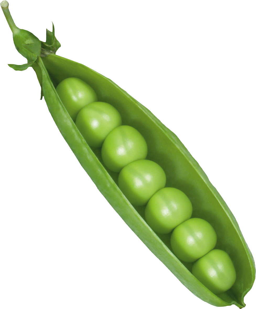 Pea PNG Image.