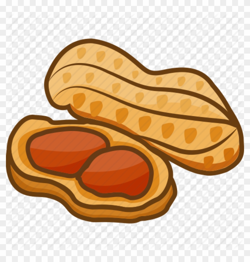 Peanut clipart legume icon free transparent png.