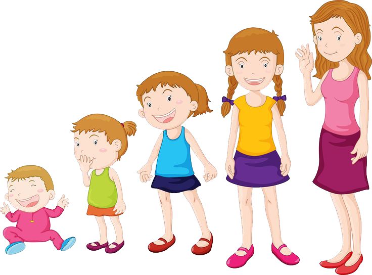 Stages Of Child Development Clipart.