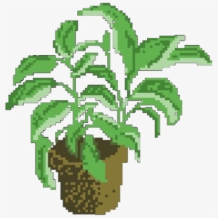 Aesthetic Clipart Plant.