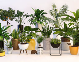 Plant 3D Models.