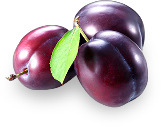 PNG Prune Transparent Prune.PNG Images..