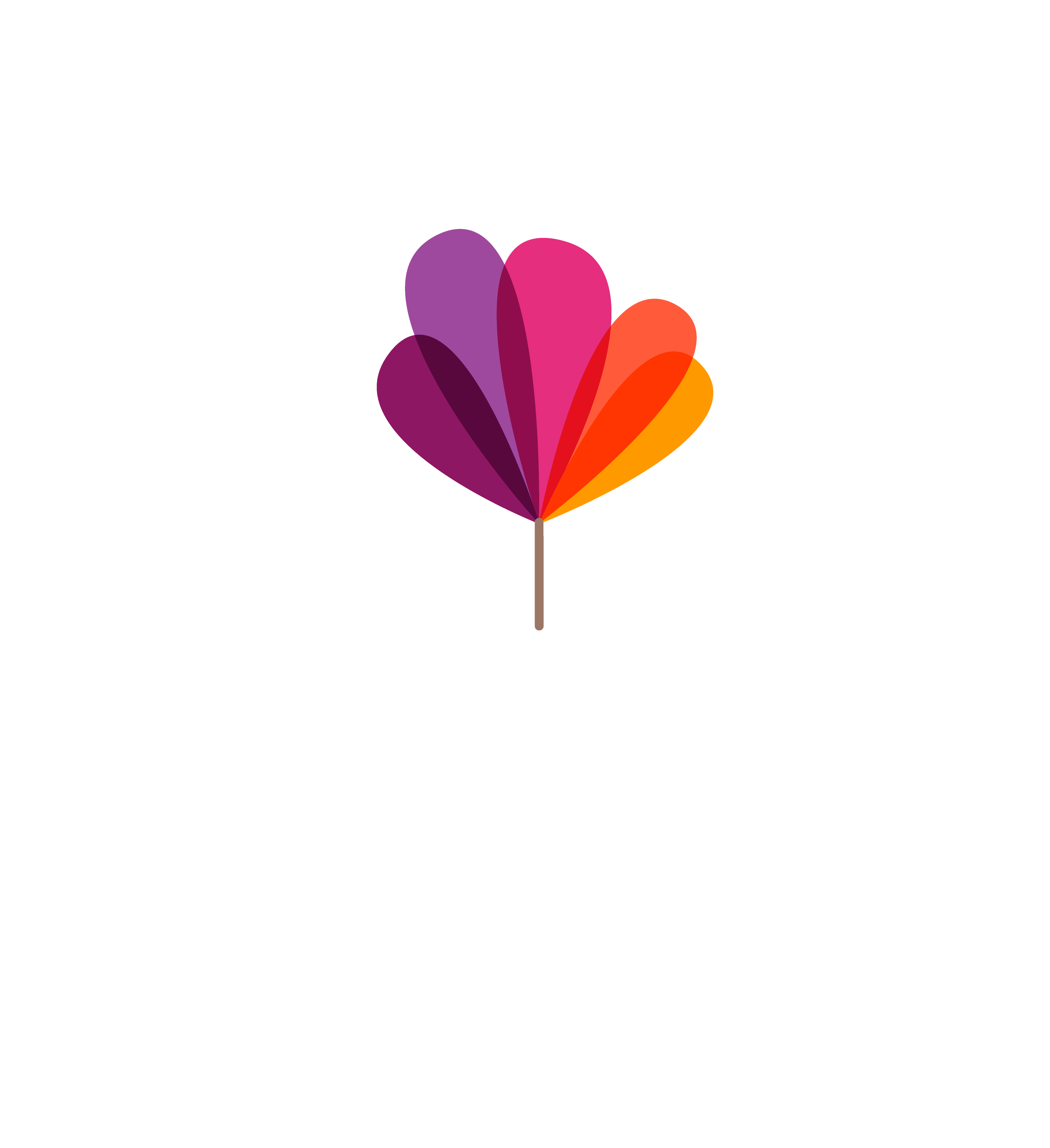 Hay Festival Logos & Branding.