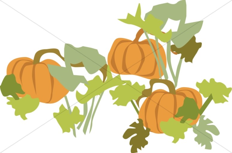 Pumpkin Patch with Foliage.