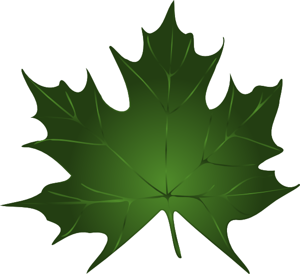 Leaves pumpkin leaf clip art free clipart images.