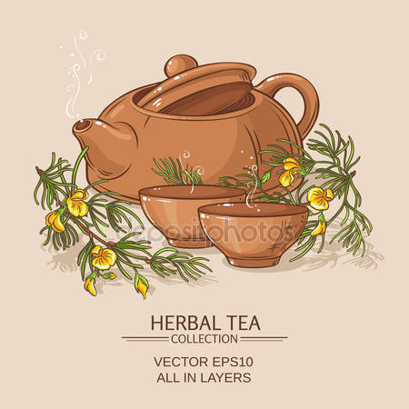 Rooibos Stock Vectors, Royalty Free Rooibos Illustrations.