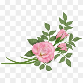 Roses Vector PNG Images, Free Transparent Image Download.