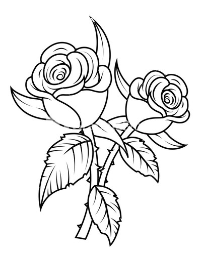 Rose clipart black white pencil and in color rose.