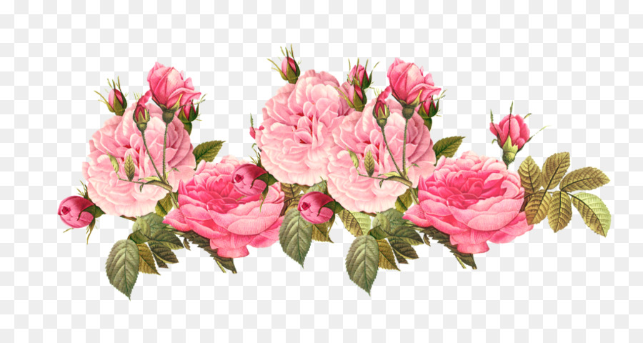 Pink flowers Rose Clip art.