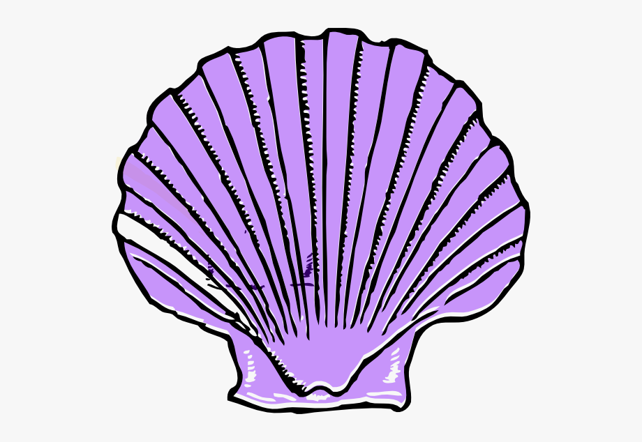 Purple Shell Clip Art.