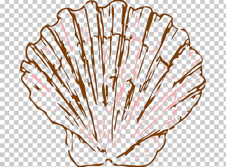 Seashell Pectinidae Drawing Mollusc Shell PNG, Clipart.