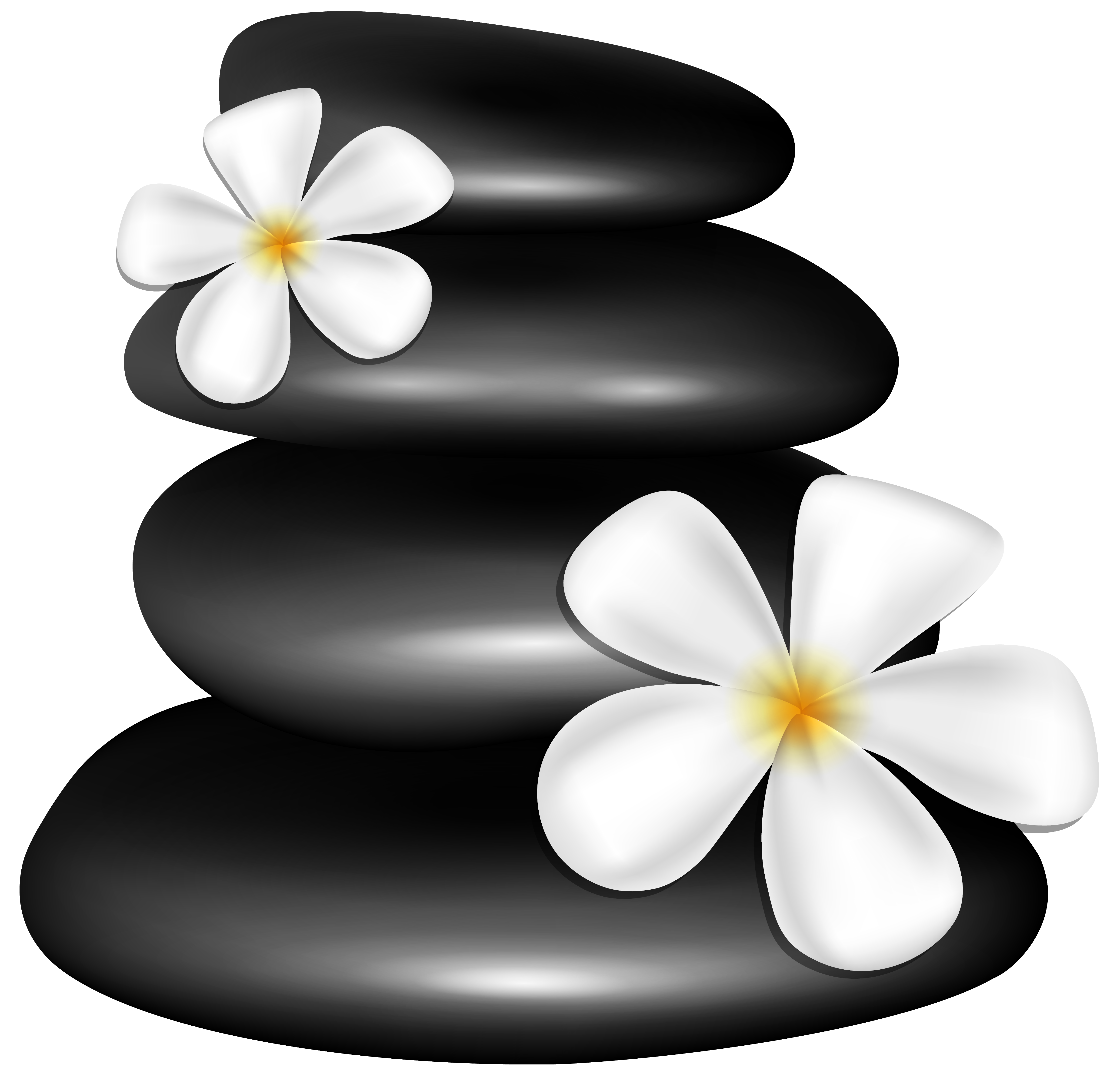 Spa Flowers Clipart.