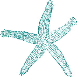 84+ Starfish Clipart Free.