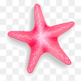 Cartoon Starfish PNG Images.