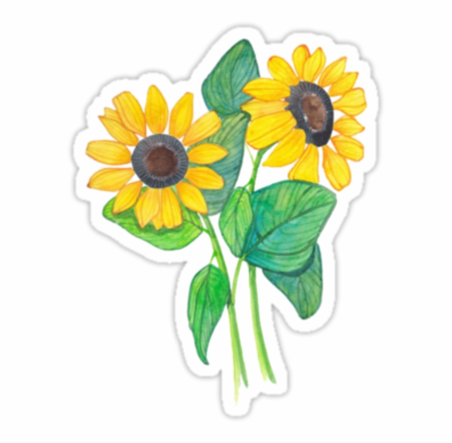 Tumblr Flowers Sticker Png Picsart Stickers Tumblr.