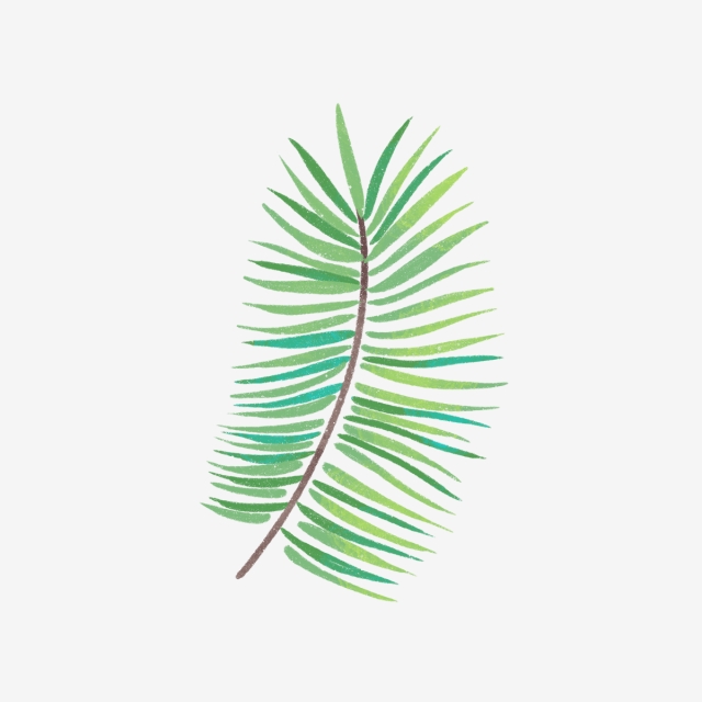 Hand Drawn Green Summer Leaves, Drawing, Nature, Summer PNG.